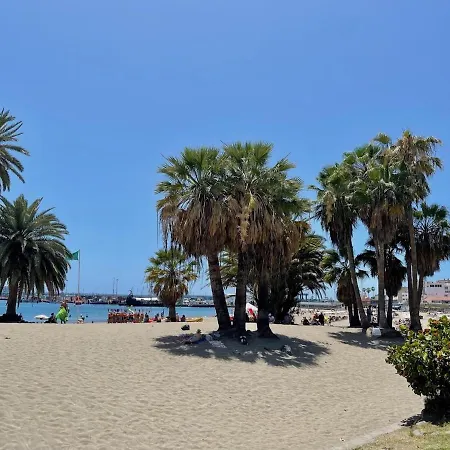 Beachfront With Ocean Views 公寓